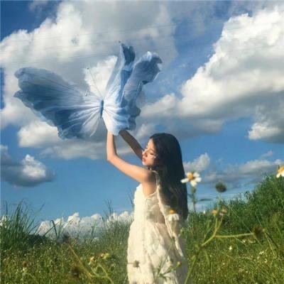 往这边看向井君